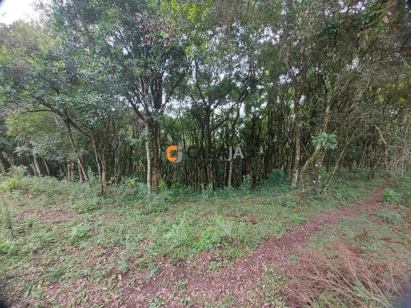 Viva no Paraíso! Chácara de 24.200m² com Rio e Vista Incrível!: 20ª foto da galeria de imagens do imóvel