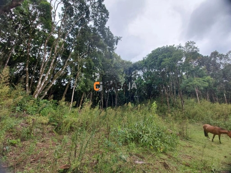 Viva no Paraíso! Chácara de 24.200m² com Rio e Vista Incrível!: 27ª foto da galeria de imagens do imóvel