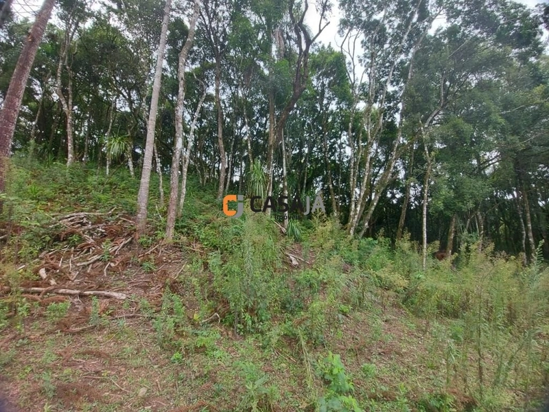 Viva no Paraíso! Chácara de 24.200m² com Rio e Vista Incrível!: 25ª foto da galeria de imagens do imóvel