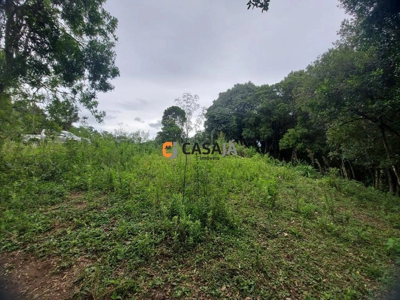 Viva no Paraíso! Chácara de 24.200m² com Rio e Vista Incrível!: 21ª foto da galeria de imagens do imóvel