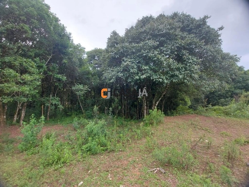 Viva no Paraíso! Chácara de 24.200m² com Rio e Vista Incrível!: 14ª foto da galeria de imagens do imóvel