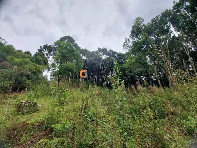 Viva no Paraíso! Chácara de 24.200m² com Rio e Vista Incrível!: 23ª foto da galeria de imagens do imóvel