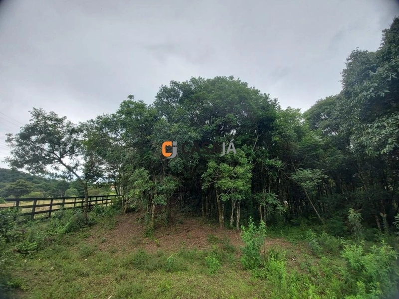 Viva no Paraíso! Chácara de 24.200m² com Rio e Vista Incrível!: 13ª foto da galeria de imagens do imóvel