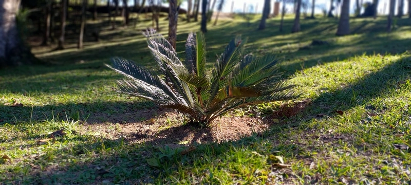 Seu refúgio de paz a 20 minutos de Campo Largo. A natureza te espera!: 9ª foto da galeria de imagens do imóvel
