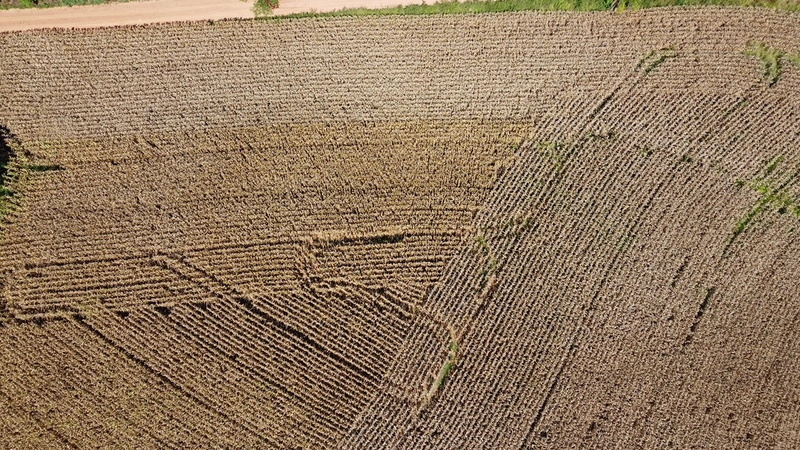 TERRENO PARA FORMAÇÃO DE CHÁCARA / PLANTIO 10 MINUTOS DO CENTRO: 6ª foto da galeria de imagens do imóvel