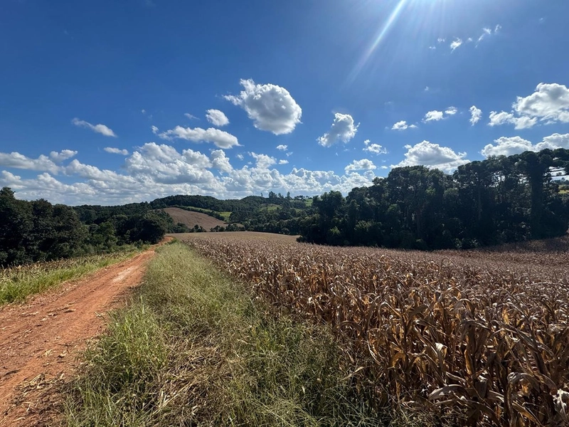 TERRENO PARA FORMAÇÃO DE CHÁCARA / PLANTIO 10 MINUTOS DO CENTRO: 9ª foto da galeria de imagens do imóvel