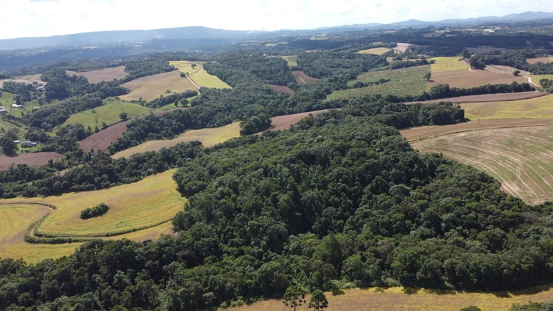 TERRENO PARA FORMAÇÃO DE CHÁCARA / PLANTIO 10 MINUTOS DO CENTRO: 12ª foto da galeria de imagens do imóvel