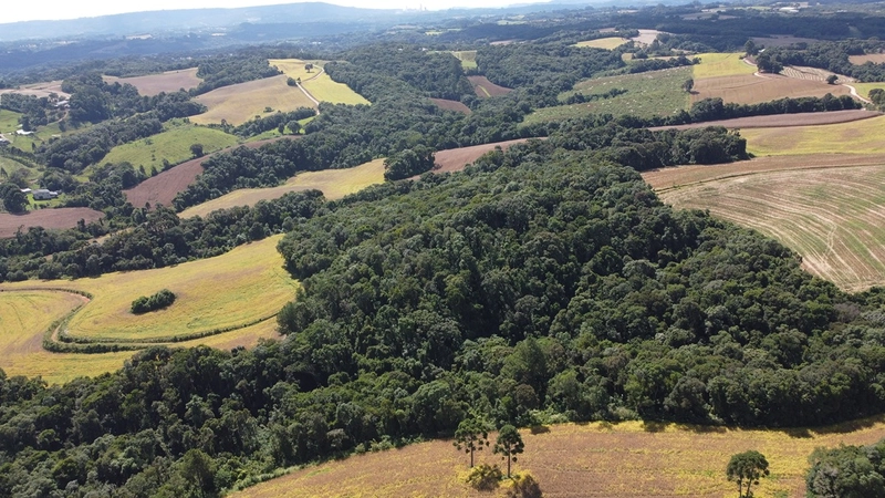 TERRENO PARA FORMAÇÃO DE CHÁCARA / PLANTIO 10 MINUTOS DO CENTRO: 11ª foto da galeria de imagens do imóvel