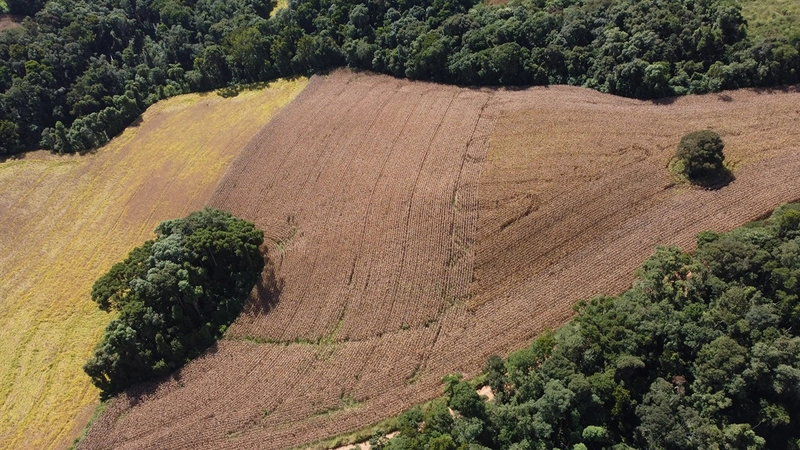 TERRENO PARA FORMAÇÃO DE CHÁCARA / PLANTIO 10 MINUTOS DO CENTRO: 4ª foto da galeria de imagens do imóvel