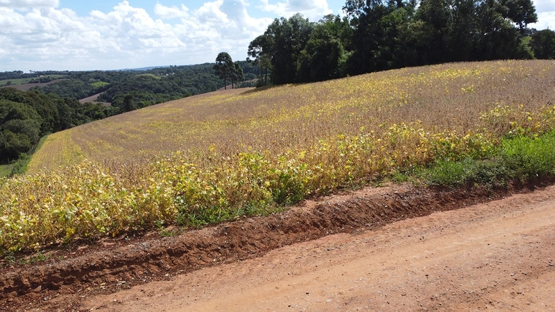 TERRENO PARA FORMAÇÃO DE CHÁCARA / PLANTIO COLÔNIA BALBINO CUNHA: 9ª foto da galeria de imagens do imóvel