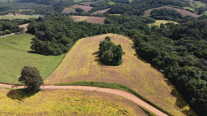 TERRENO PARA FORMAÇÃO DE CHÁCARA / PLANTIO COLÔNIA BALBINO CUNHA: 5ª foto da galeria de imagens do imóvel