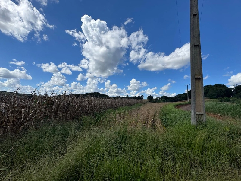 TERRENO PARA FORMAÇÃO DE CHÁCARA / PLANTIO COLÔNIA BALBINO CUNHA: 27ª foto da galeria de imagens do imóvel