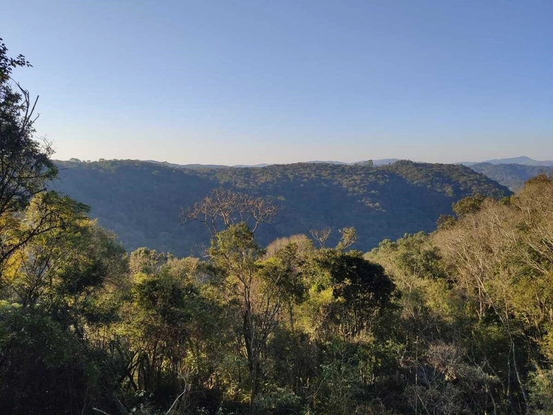 Chácara de 20.000m² à venda em Campo Largo!: 3ª foto da galeria de imagens do imóvel
