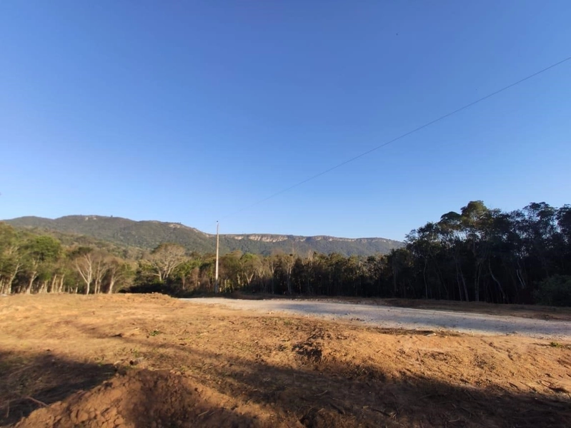Chácara de 20.000m² à venda em Campo Largo!: 5ª foto da galeria de imagens do imóvel