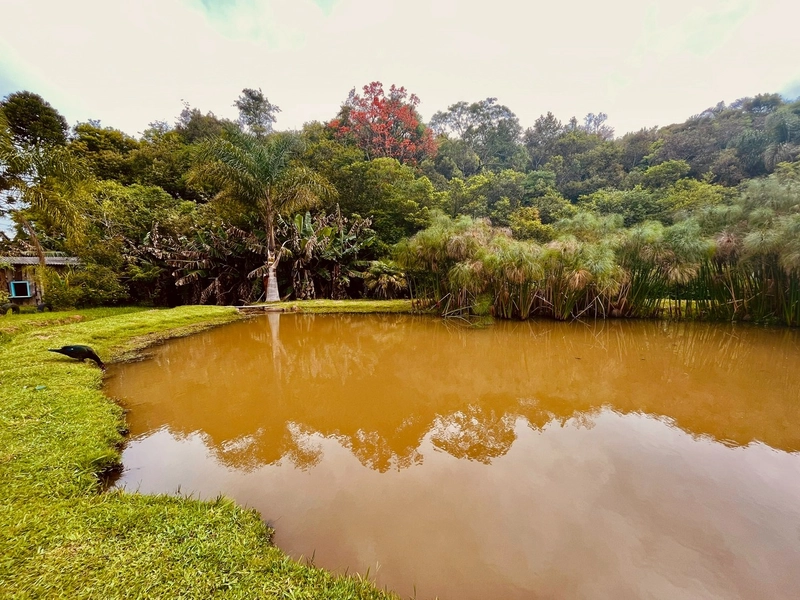 Chácara Completa no Centro do Bugre - Oportunidade Única!: 29ª foto da galeria de imagens do imóvel