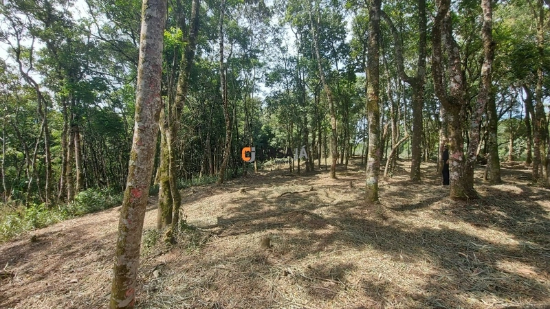 Chácara com ampla área verde e ideal para quem busca tranquilidade!: 13ª foto da galeria de imagens do imóvel
