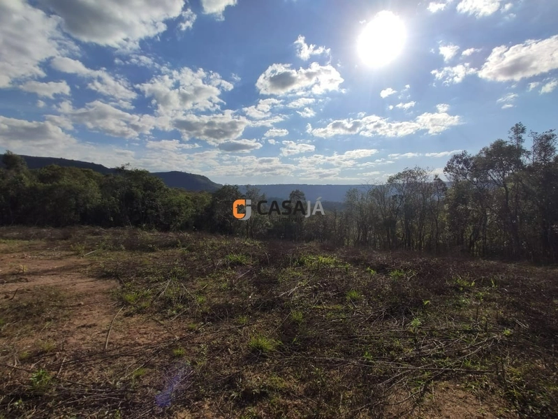 Chácara com ampla área verde e ideal para quem busca tranquilidade!: 4ª foto da galeria de imagens do imóvel
