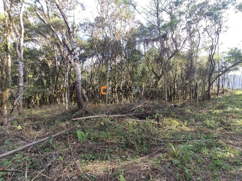 Chácara com ampla área verde e ideal para quem busca tranquilidade!: 14ª foto da galeria de imagens do imóvel