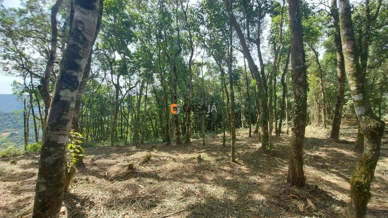 Chácara com ampla área verde e ideal para quem busca tranquilidade!: 11ª foto da galeria de imagens do imóvel