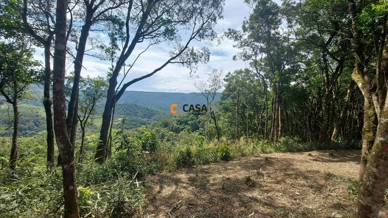 Chácara com ampla área verde e ideal para quem busca tranquilidade!: 12ª foto da galeria de imagens do imóvel