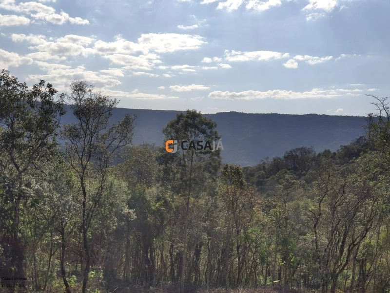 Chácara com ampla área verde e ideal para quem busca tranquilidade!: 3ª foto da galeria de imagens do imóvel