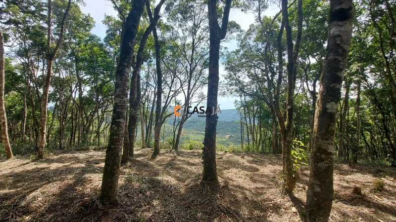 Chácara com ampla área verde e ideal para quem busca tranquilidade!: 9ª foto da galeria de imagens do imóvel