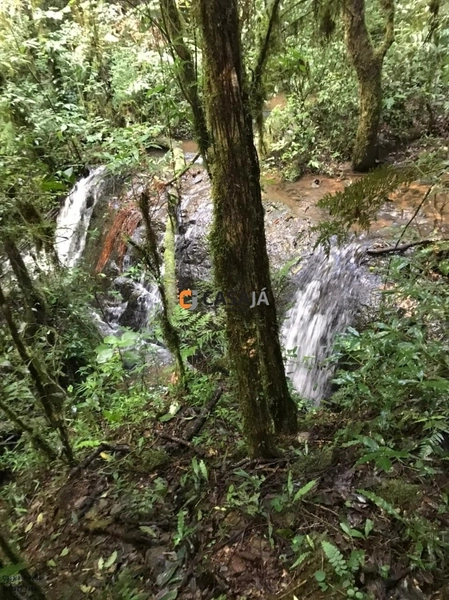 Chácara com ampla área verde e ideal para quem busca tranquilidade!: 8ª foto da galeria de imagens do imóvel