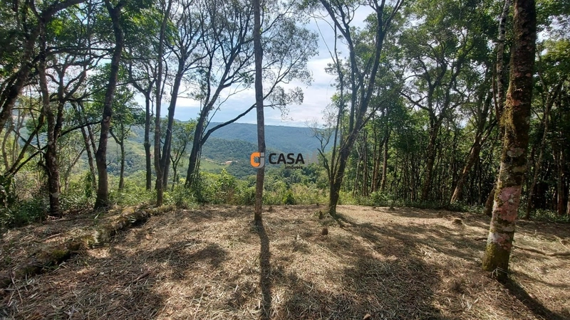 Chácara com ampla área verde e ideal para quem busca tranquilidade!: 7ª foto da galeria de imagens do imóvel