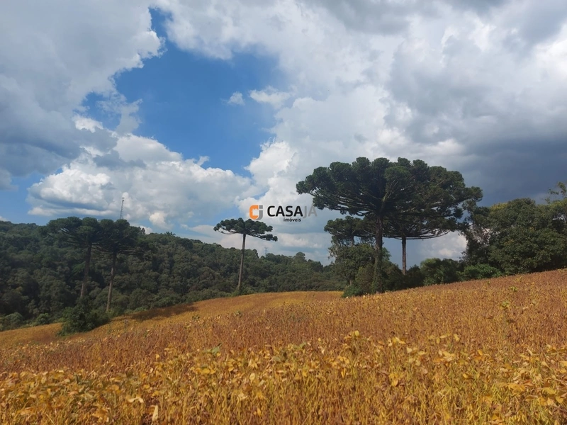 Terreno de 8 Alqueires: Natureza e Oportunidade de Investimento!: 7ª foto da galeria de imagens do imóvel