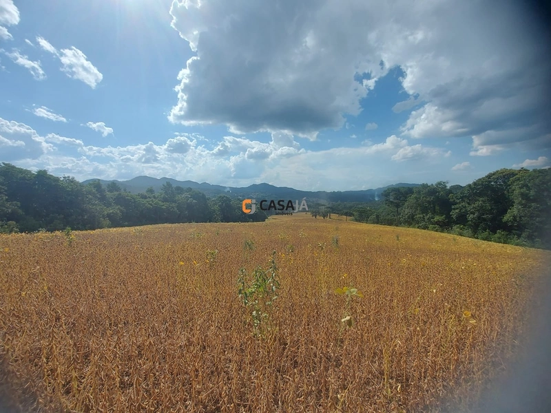 Terreno de 8 Alqueires: Natureza e Oportunidade de Investimento!: 9ª foto da galeria de imagens do imóvel