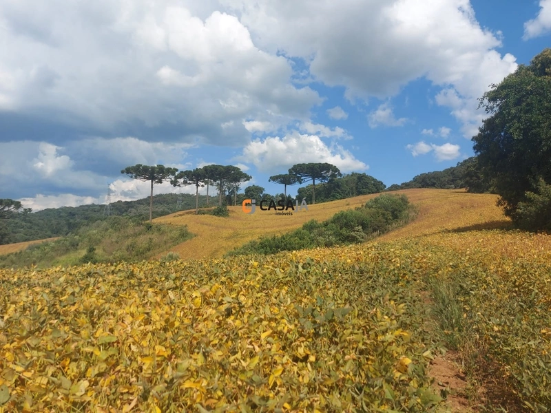 Terreno de 8 Alqueires: Natureza e Oportunidade de Investimento!: 14ª foto da galeria de imagens do imóvel