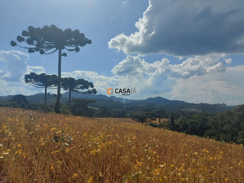 Terreno de 8 Alqueires: Natureza e Oportunidade de Investimento!: 12ª foto da galeria de imagens do imóvel