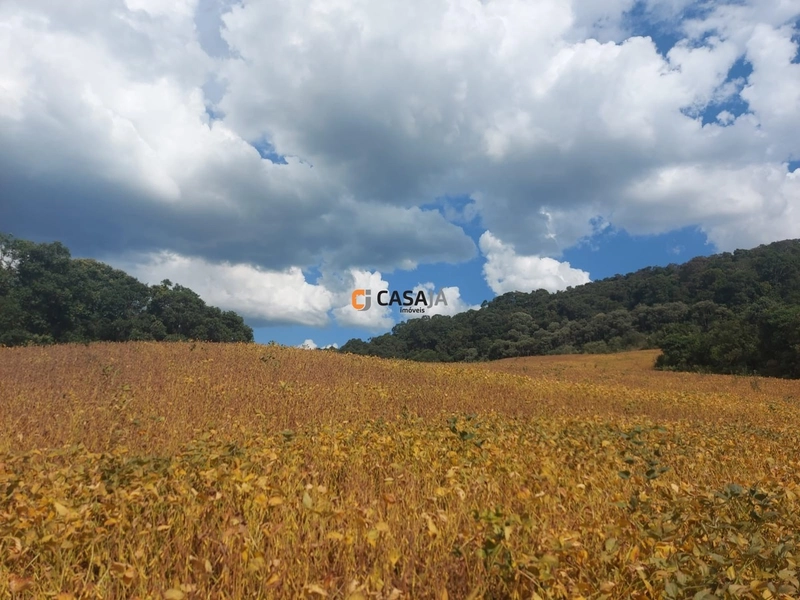 Terreno de 8 Alqueires: Natureza e Oportunidade de Investimento!: 1ª foto da galeria de imagens do imóvel
