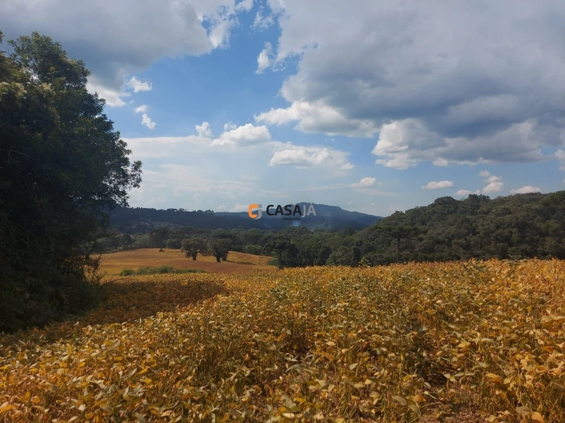 Terreno de 8 Alqueires: Natureza e Oportunidade de Investimento!: 2ª foto da galeria de imagens do imóvel