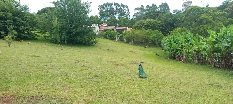 Refúgio completo que sua família merece: qualidade de vida a apenas 10 minutos do centro de Campo Largo! Desfrute de uma casa sede impecável, aconchego da lareira e o sabor da culinária no fogão a lenha, em uma propriedade totalmente estruturada com tanque, pomar produtivo e casa de caseiro. O equilíbrio perfeito entre a paz do campo e a proximidade da cidade, com toda a segurança e o conforto que você sempre buscou.: 21ª foto da galeria de imagens do imóvel