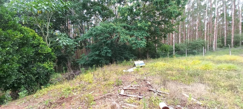Refúgio completo que sua família merece: qualidade de vida a apenas 10 minutos do centro de Campo Largo! Desfrute de uma casa sede impecável, aconchego da lareira e o sabor da culinária no fogão a lenha, em uma propriedade totalmente estruturada com tanque, pomar produtivo e casa de caseiro. O equilíbrio perfeito entre a paz do campo e a proximidade da cidade, com toda a segurança e o conforto que você sempre buscou.: 27ª foto da galeria de imagens do imóvel
