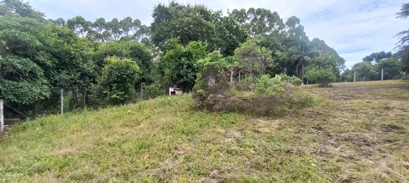Refúgio completo que sua família merece: qualidade de vida a apenas 10 minutos do centro de Campo Largo! Desfrute de uma casa sede impecável, aconchego da lareira e o sabor da culinária no fogão a lenha, em uma propriedade totalmente estruturada com tanque, pomar produtivo e casa de caseiro. O equilíbrio perfeito entre a paz do campo e a proximidade da cidade, com toda a segurança e o conforto que você sempre buscou.: 20ª foto da galeria de imagens do imóvel