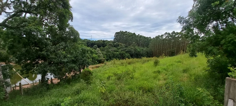 Refúgio completo que sua família merece: qualidade de vida a apenas 10 minutos do centro de Campo Largo! Desfrute de uma casa sede impecável, aconchego da lareira e o sabor da culinária no fogão a lenha, em uma propriedade totalmente estruturada com tanque, pomar produtivo e casa de caseiro. O equilíbrio perfeito entre a paz do campo e a proximidade da cidade, com toda a segurança e o conforto que você sempre buscou.: 24ª foto da galeria de imagens do imóvel