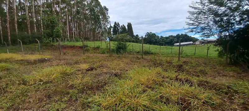 Refúgio completo que sua família merece: qualidade de vida a apenas 10 minutos do centro de Campo Largo! Desfrute de uma casa sede impecável, aconchego da lareira e o sabor da culinária no fogão a lenha, em uma propriedade totalmente estruturada com tanque, pomar produtivo e casa de caseiro. O equilíbrio perfeito entre a paz do campo e a proximidade da cidade, com toda a segurança e o conforto que você sempre buscou.: 26ª foto da galeria de imagens do imóvel