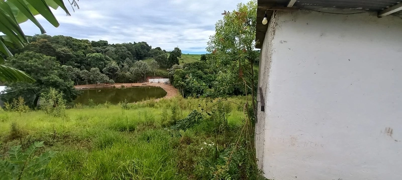 Refúgio completo que sua família merece: qualidade de vida a apenas 10 minutos do centro de Campo Largo! Desfrute de uma casa sede impecável, aconchego da lareira e o sabor da culinária no fogão a lenha, em uma propriedade totalmente estruturada com tanque, pomar produtivo e casa de caseiro. O equilíbrio perfeito entre a paz do campo e a proximidade da cidade, com toda a segurança e o conforto que você sempre buscou.: 23ª foto da galeria de imagens do imóvel