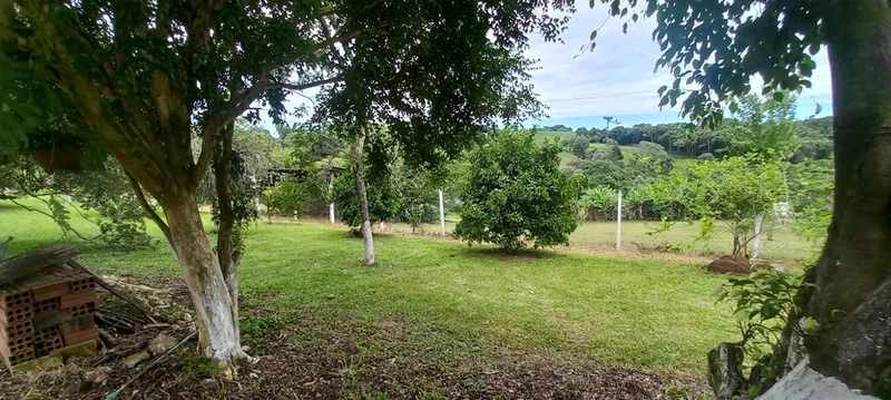 Refúgio completo que sua família merece: qualidade de vida a apenas 10 minutos do centro de Campo Largo! Desfrute de uma casa sede impecável, aconchego da lareira e o sabor da culinária no fogão a lenha, em uma propriedade totalmente estruturada com tanque, pomar produtivo e casa de caseiro. O equilíbrio perfeito entre a paz do campo e a proximidade da cidade, com toda a segurança e o conforto que você sempre buscou.: 16ª foto da galeria de imagens do imóvel