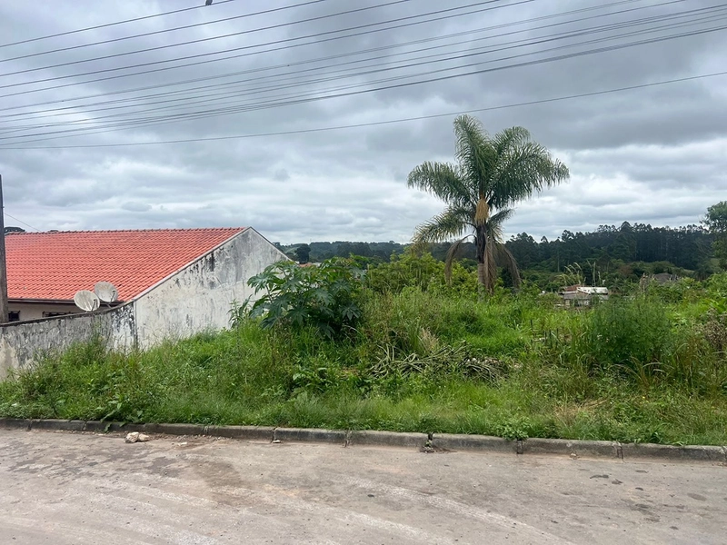 Terreno amplo na parte alta da Vila Pompéia, localização que valoriza!: 2ª foto da galeria de imagens do imóvel