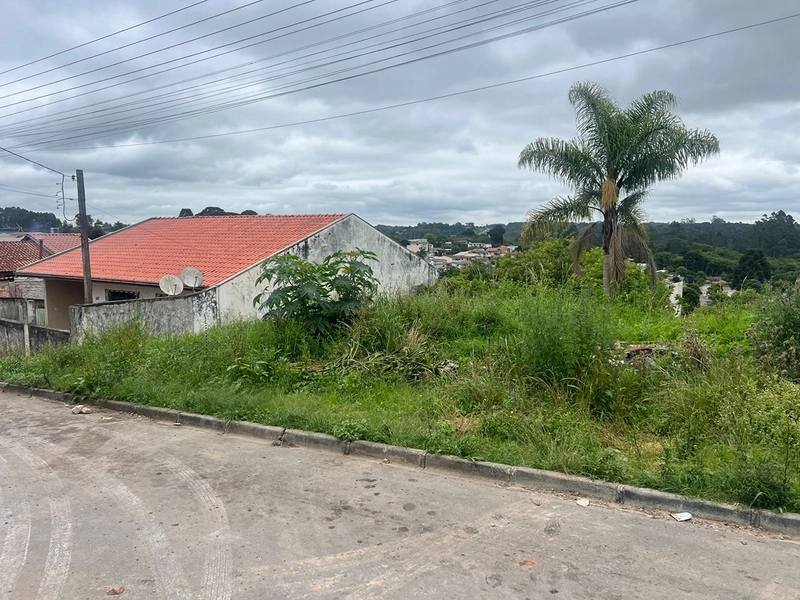 Terreno amplo na parte alta da Vila Pompéia, localização que valoriza!: 3ª foto da galeria de imagens do imóvel