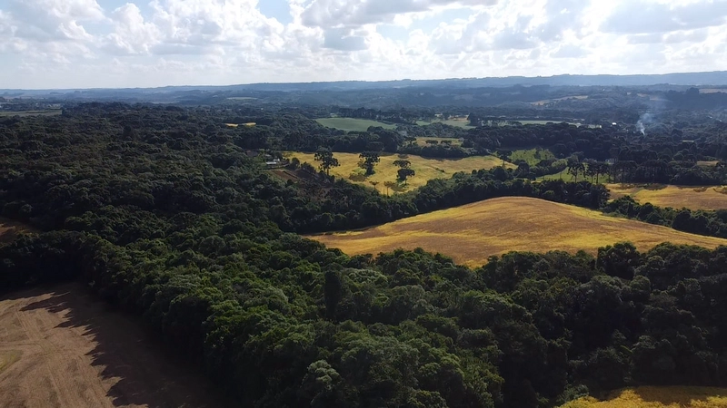 Lindo terreno na Colônia Campina: 8ª foto da galeria de imagens do imóvel