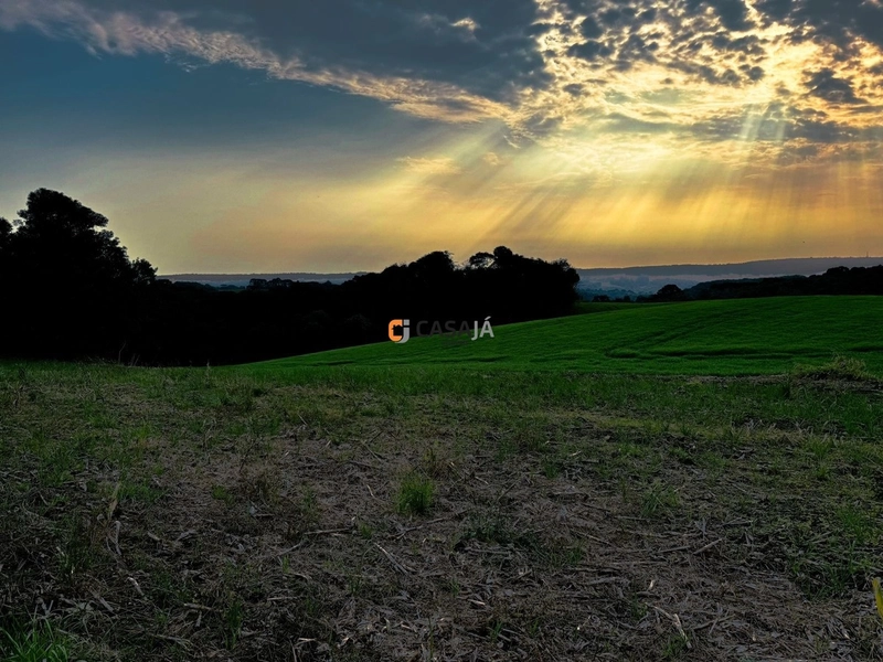 Lindo terreno na Colônia Campina: 33ª foto da galeria de imagens do imóvel