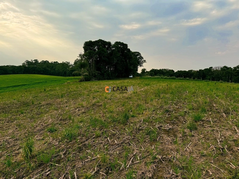 Lindo terreno na Colônia Campina: 35ª foto da galeria de imagens do imóvel