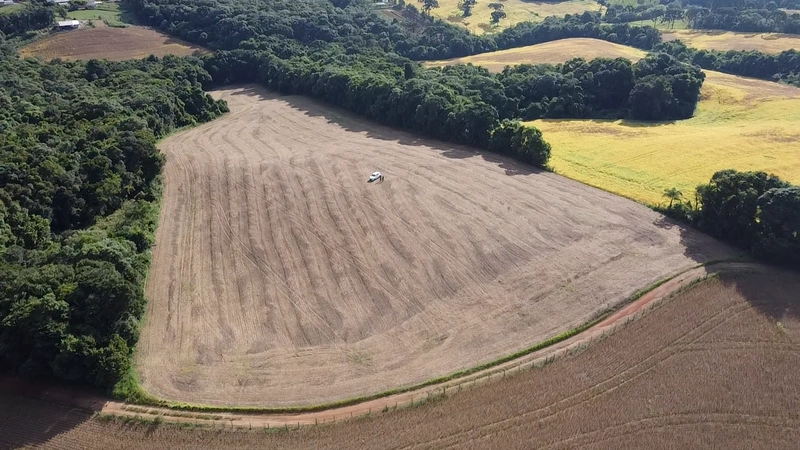 Lindo terreno na Colônia Campina: 41ª foto da galeria de imagens do imóvel