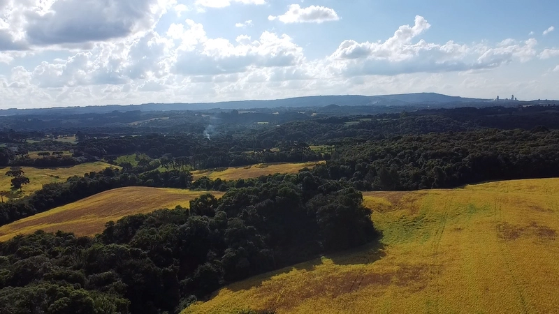 Lindo terreno na Colônia Campina: 30ª foto da galeria de imagens do imóvel