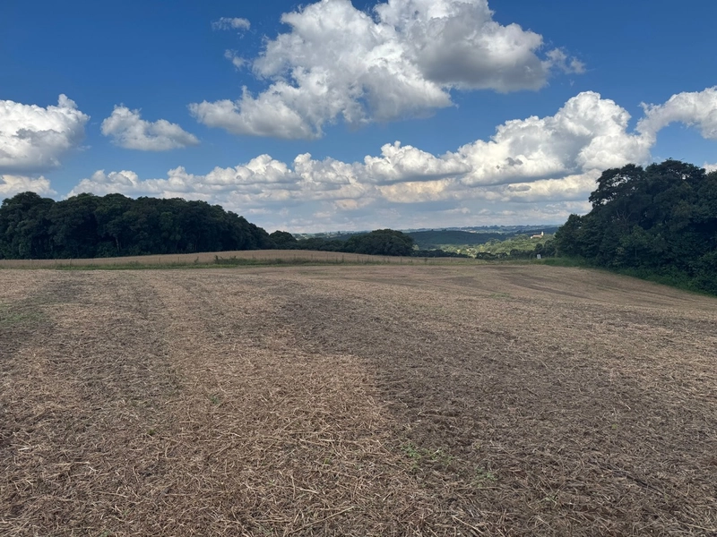 Lindo terreno na Colônia Campina: 39ª foto da galeria de imagens do imóvel