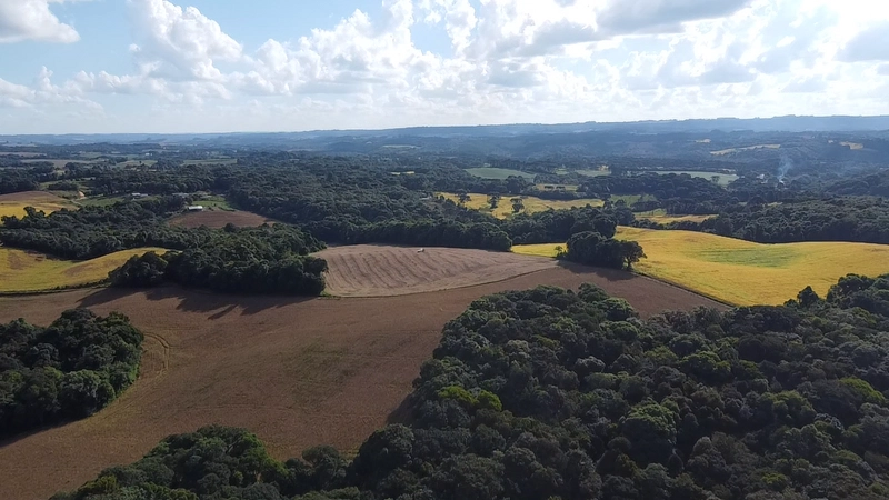 Lindo terreno na Colônia Campina: 12ª foto da galeria de imagens do imóvel